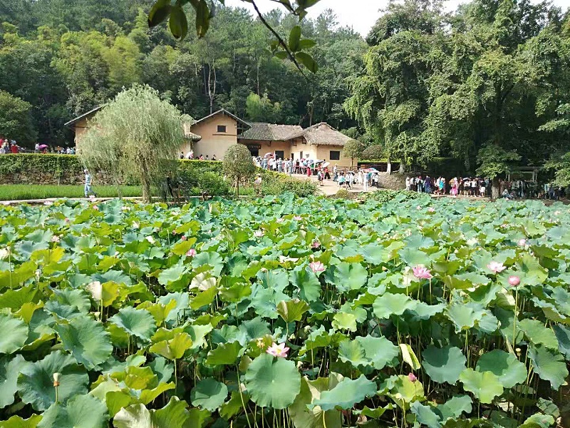 微信圖片_20190720052634